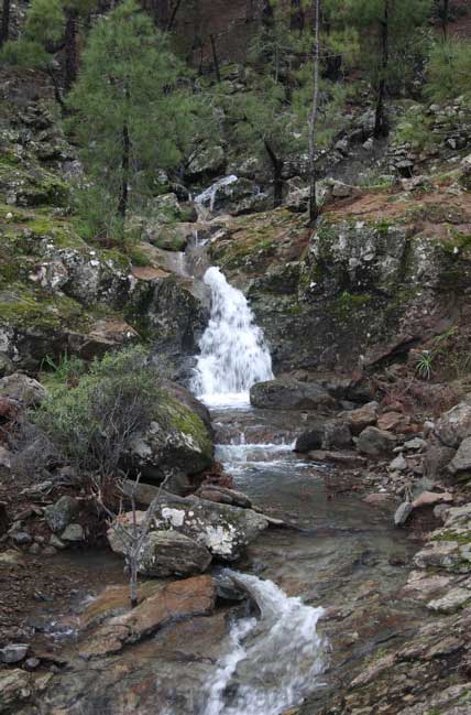Bergbach im Gebiet von Inagua, Gran Canaria